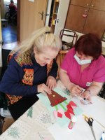 Rozkvitli nám tulipány