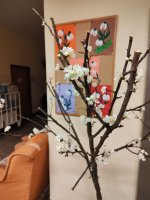 Prehľad záujmovej činnosti za obdobie od januára do mája 2025